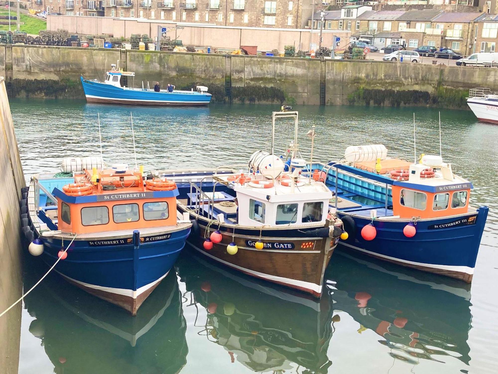 Dipper Cottage Seahouses Exterior foto