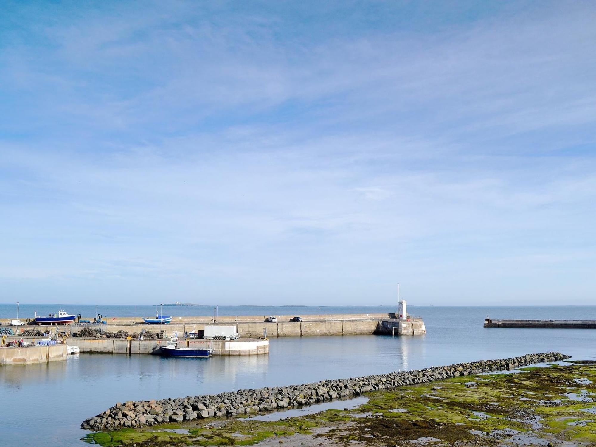 Dipper Cottage Seahouses Exterior foto